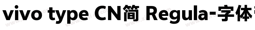 vivo type CN简 Regula字体转换